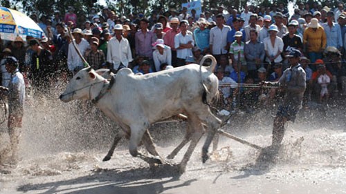 Ouverture de la 5è fête culturelle, sportive et touristique des Khmers du Nam Bô - ảnh 1